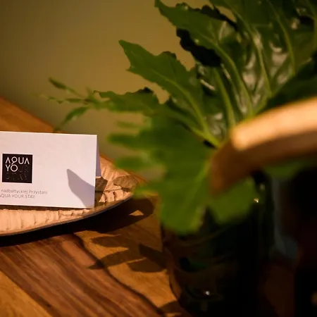 Aqua Your Tatil Evi Sasino